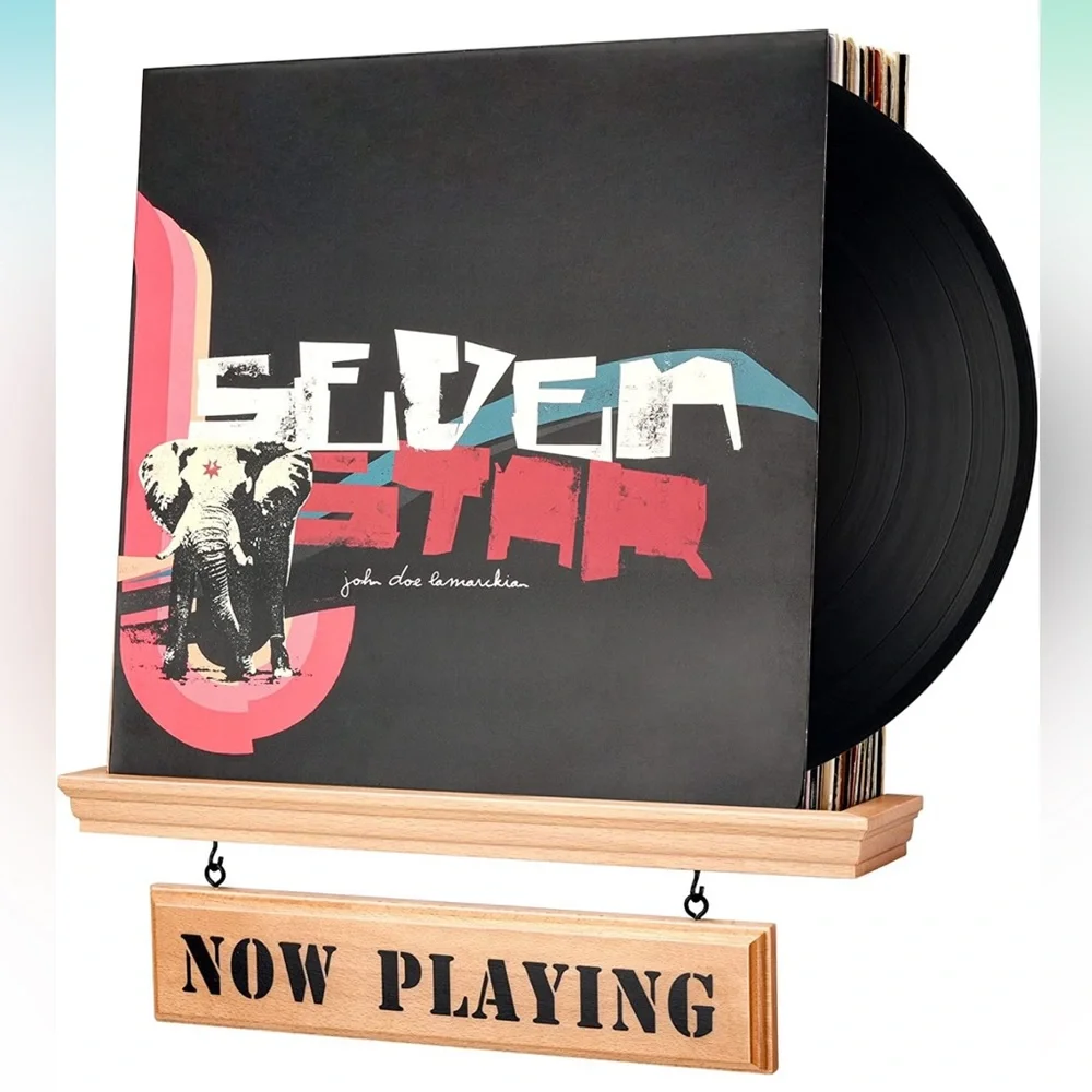 “Now Playing” Premium Beech Wood Vinyl Record Wall Mount Display Shelf (NWB)